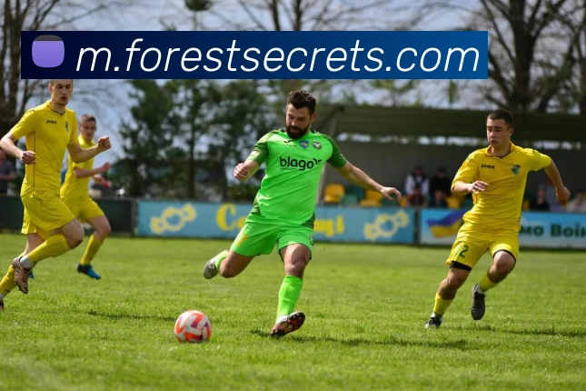 数据分析功能